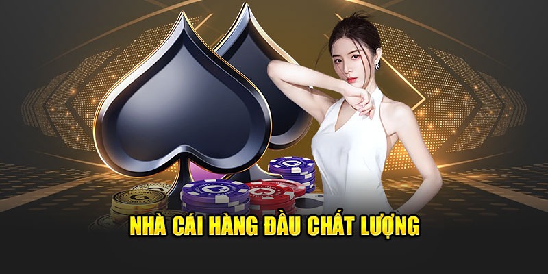 OK365 là đơn vị cung cấp dịch vụ cá cược uy tín